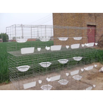 Pigeon breeding cage for breeding pigeon